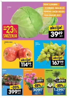 Idea katalog - pregled Idea kataloga - važi od 16.10.2025 | Strana: 2