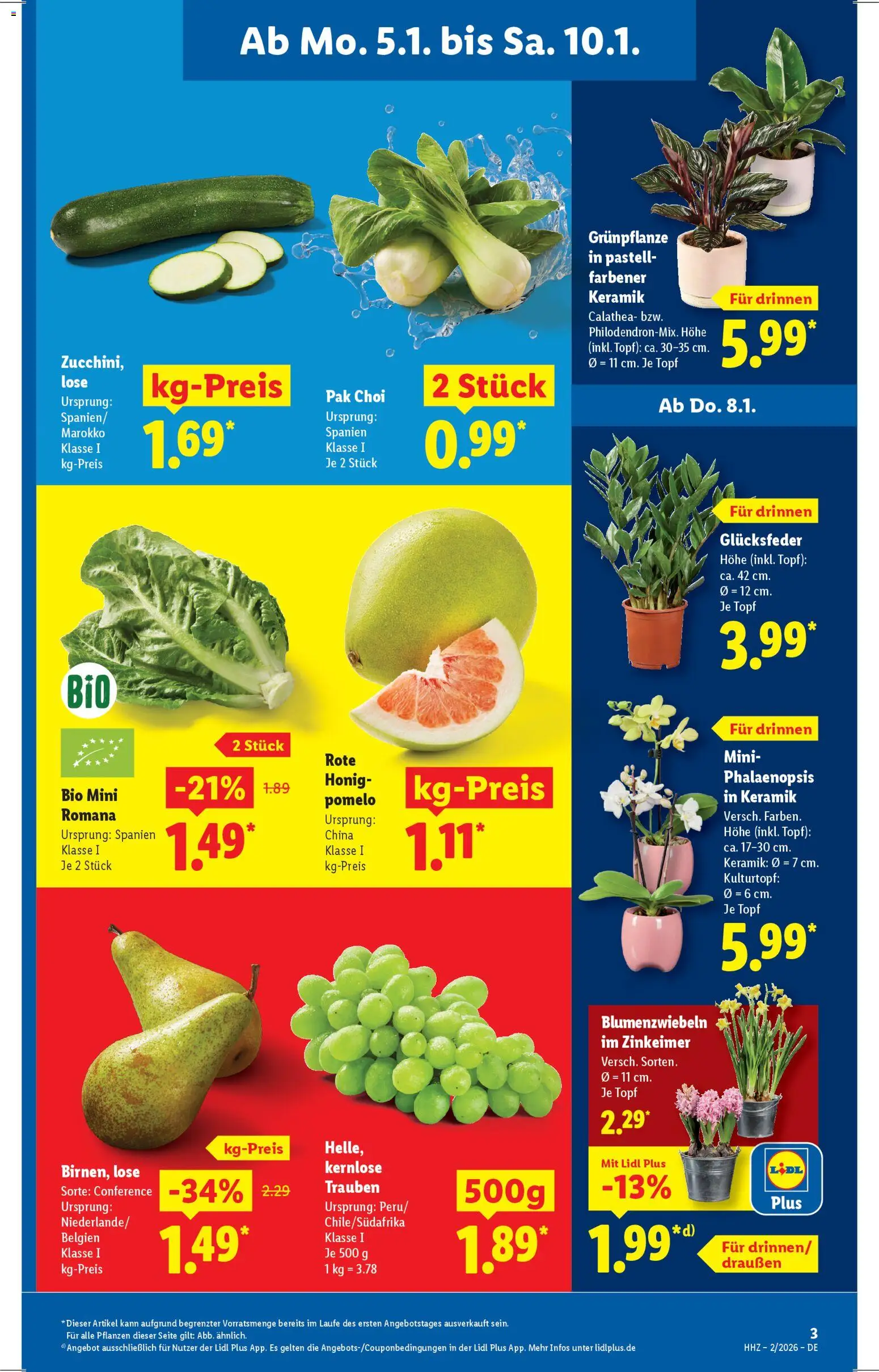 Lidl Prospekt Gundelsheim – gültig ab 05.01.2026 | Seite: 5 | Produkte: Trauben