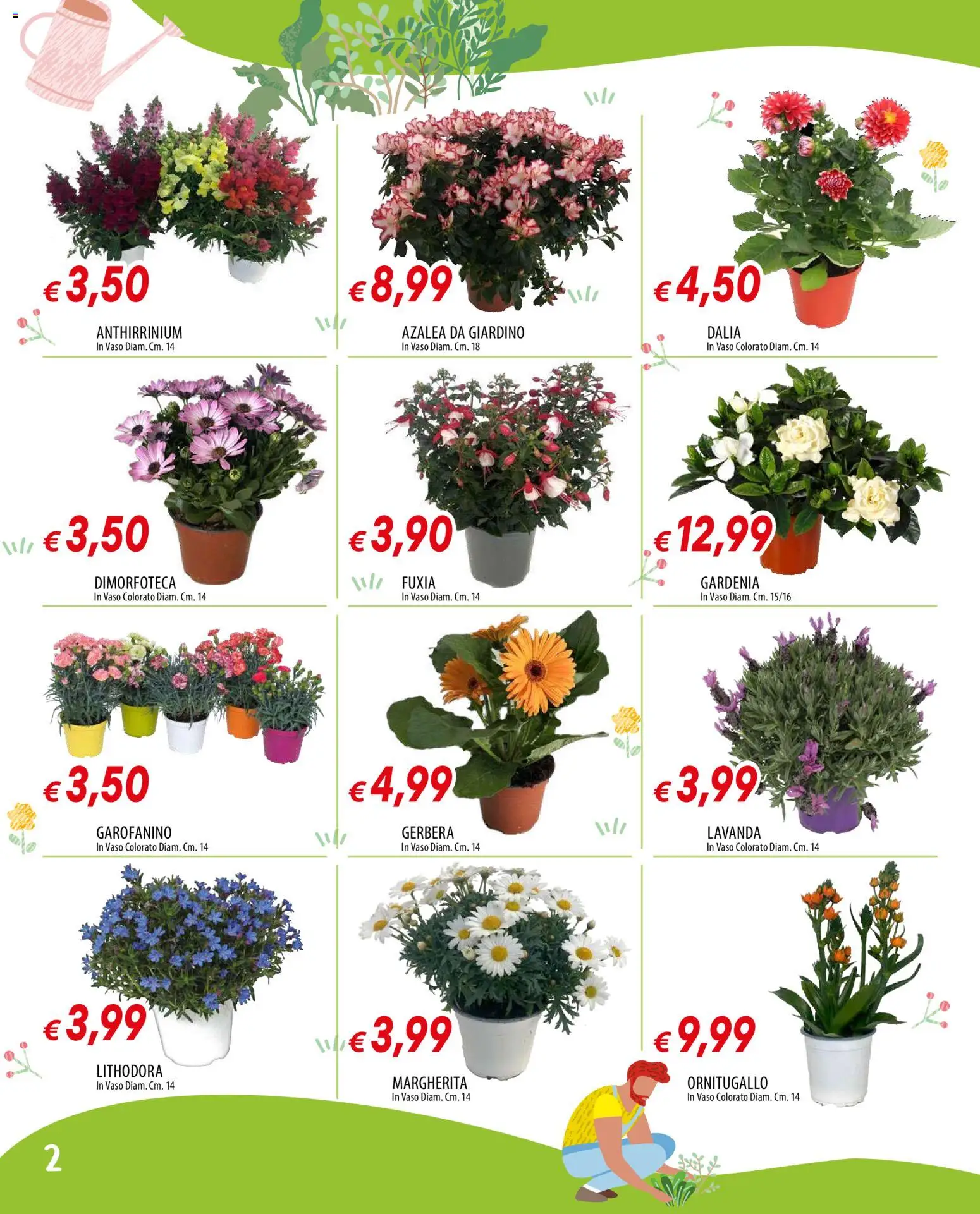 Volantino Galassia del 12.03.2026 | Pagina: 2 | Prodotti: Lavanda, Vaso