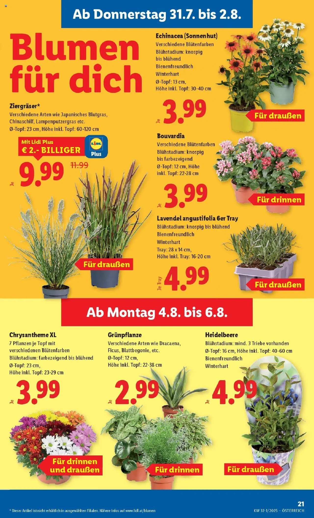 Lidl Flugblatt - Salzburg, Dornbirn, Jenbach gültig ab 31.07.2025 | Seite: 23
