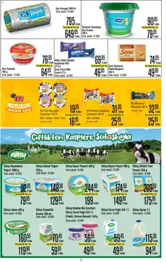 22.04.2026 tarihinden itibaren geçerli olan CarrefourSA kataloğu önizlemesi | Sayfa: 17