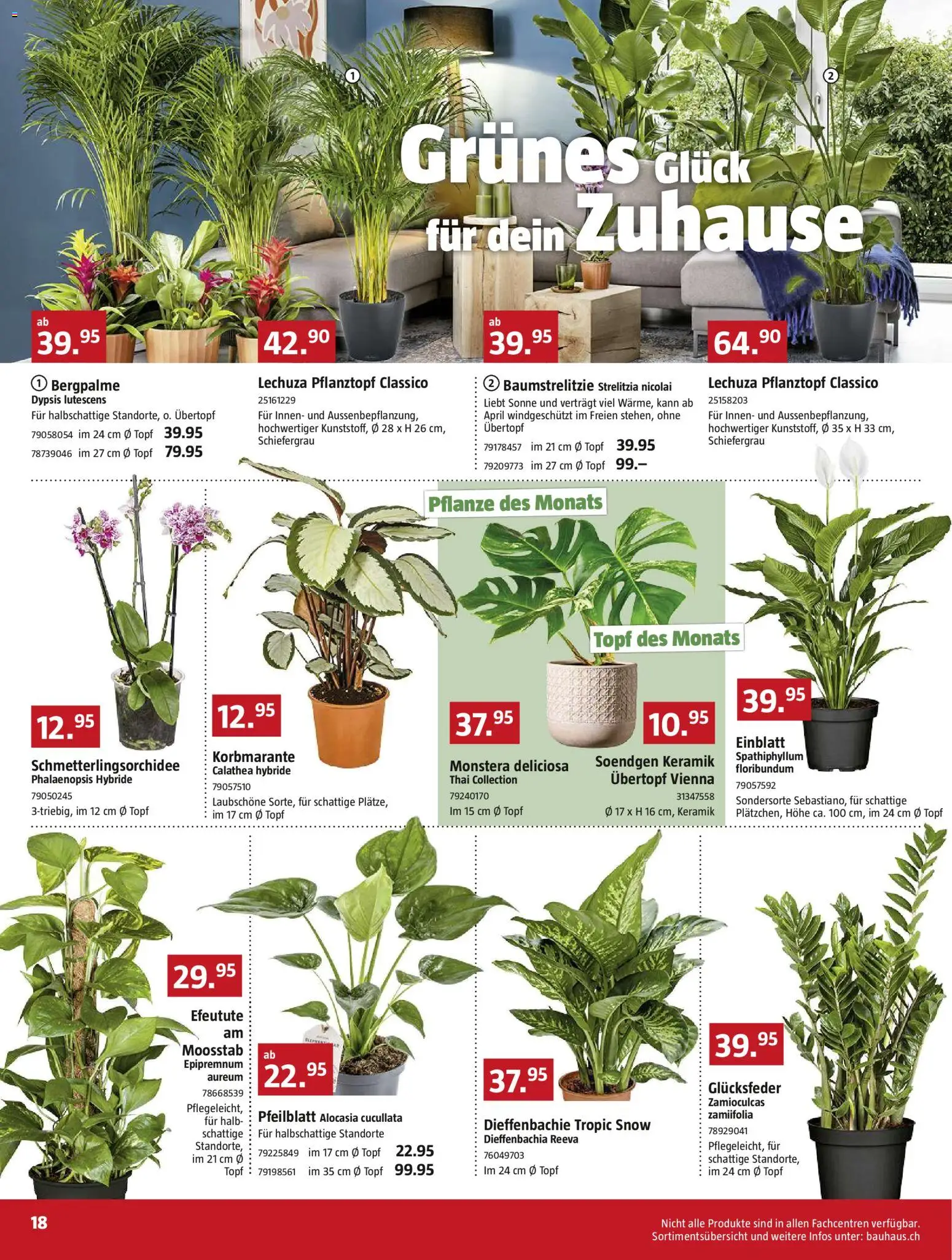 Bauhaus Aktionen – gültig ab 29.12.2025 | Seite: 18