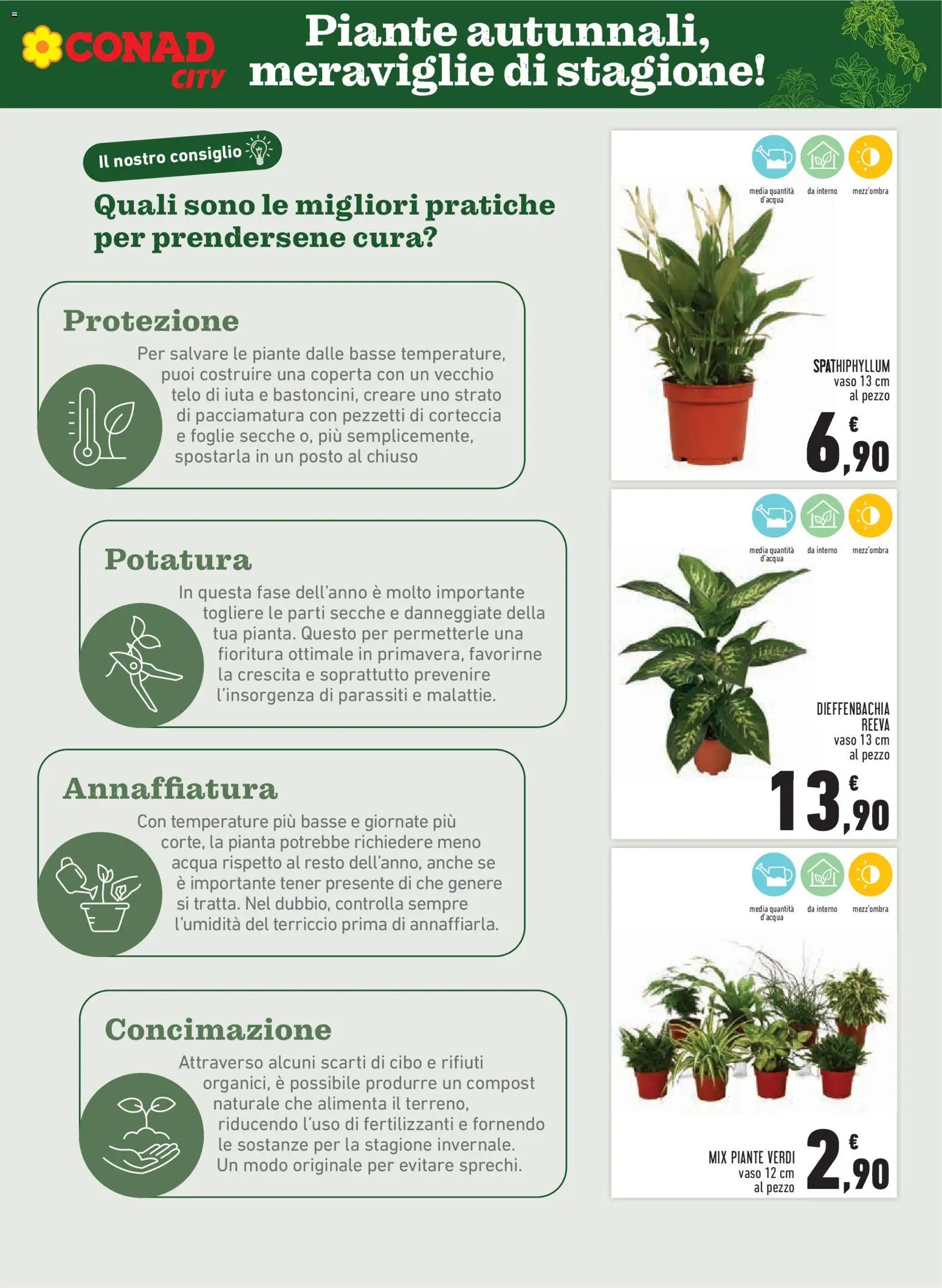 Volantino Conad del 06.11.2025 | Pagina: 7 | Prodotti: Acqua, Terriccio, Coperta, Vaso