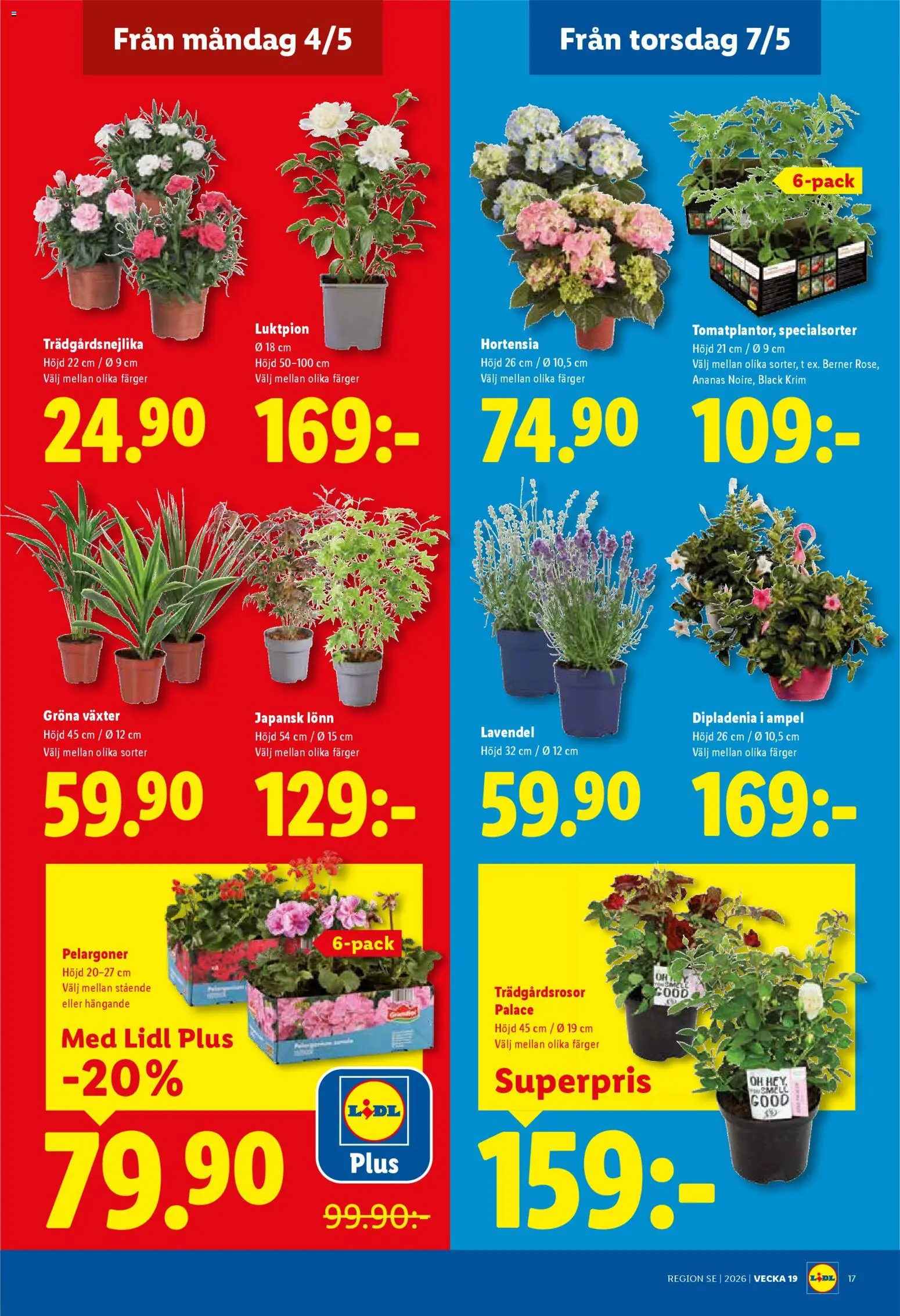 Lidl reklamblad aktuell från 04.05.2026 | Sida: 19