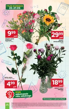 Stokrotka Gazetka od 26.06.2025 | Strona: 6 | Produkty: Kwiaty cięte, Goździki, Stokrotka, Kwiaty