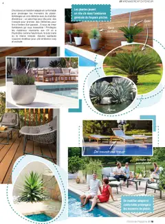  | Page: 19 | Produits: Lavande, Plantes, Parasol, Magazine