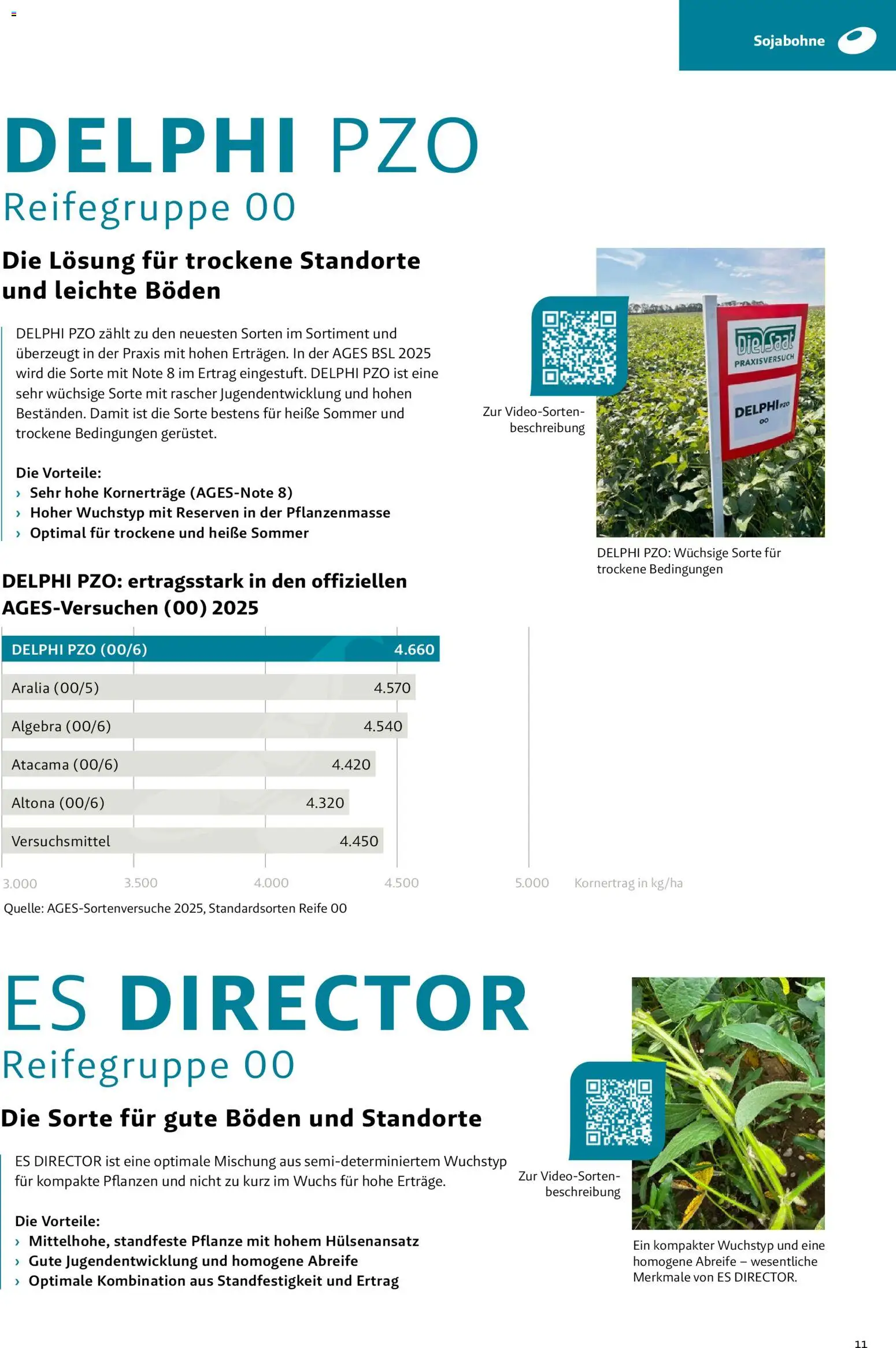 Lagerhaus - Frühjahr 2026 Östliches  Niederösterreich gültig ab 01.03.2026 | Seite: 11