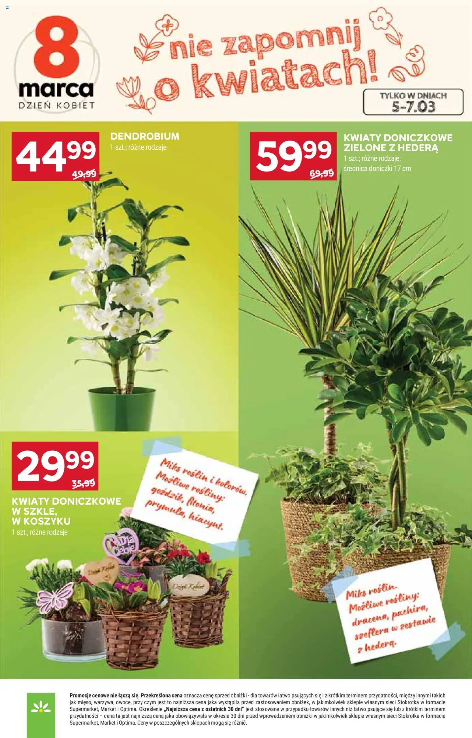 Stokrotka gazetka - Market od 05.03.2026 | Strona: 9 | Produkty: Kwiaty doniczkowe, Rosliny, Doniczki, Kwiaty