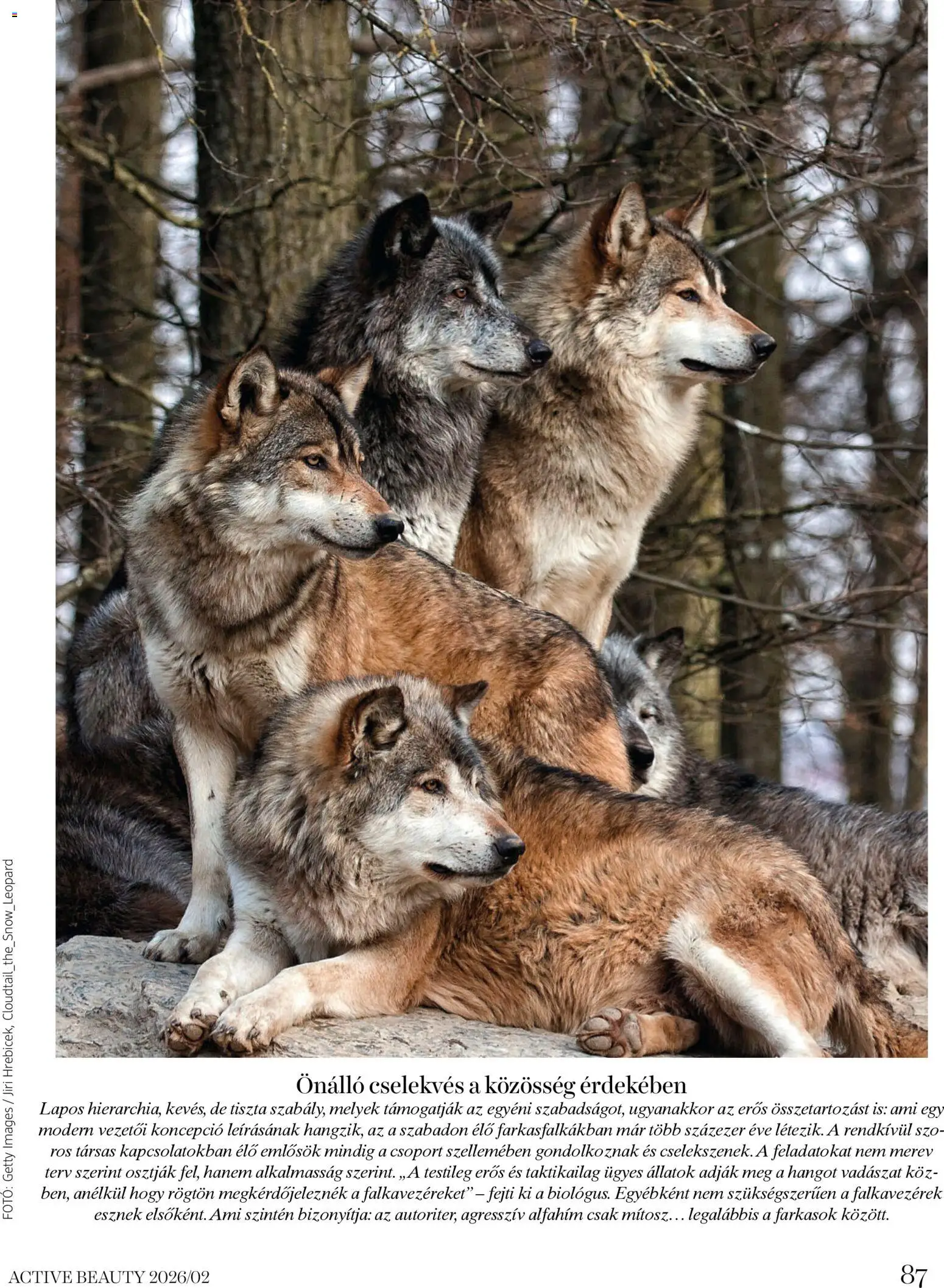 DM Drogerie Markt akciós ujság - amely érvényes a következő dátumtól: 06.02.2026 | Oldal: 87