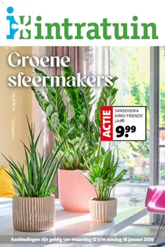 Intratuin - Folder - Voorbeeld van een folder van Intratuin, geldig van 12.01.2026