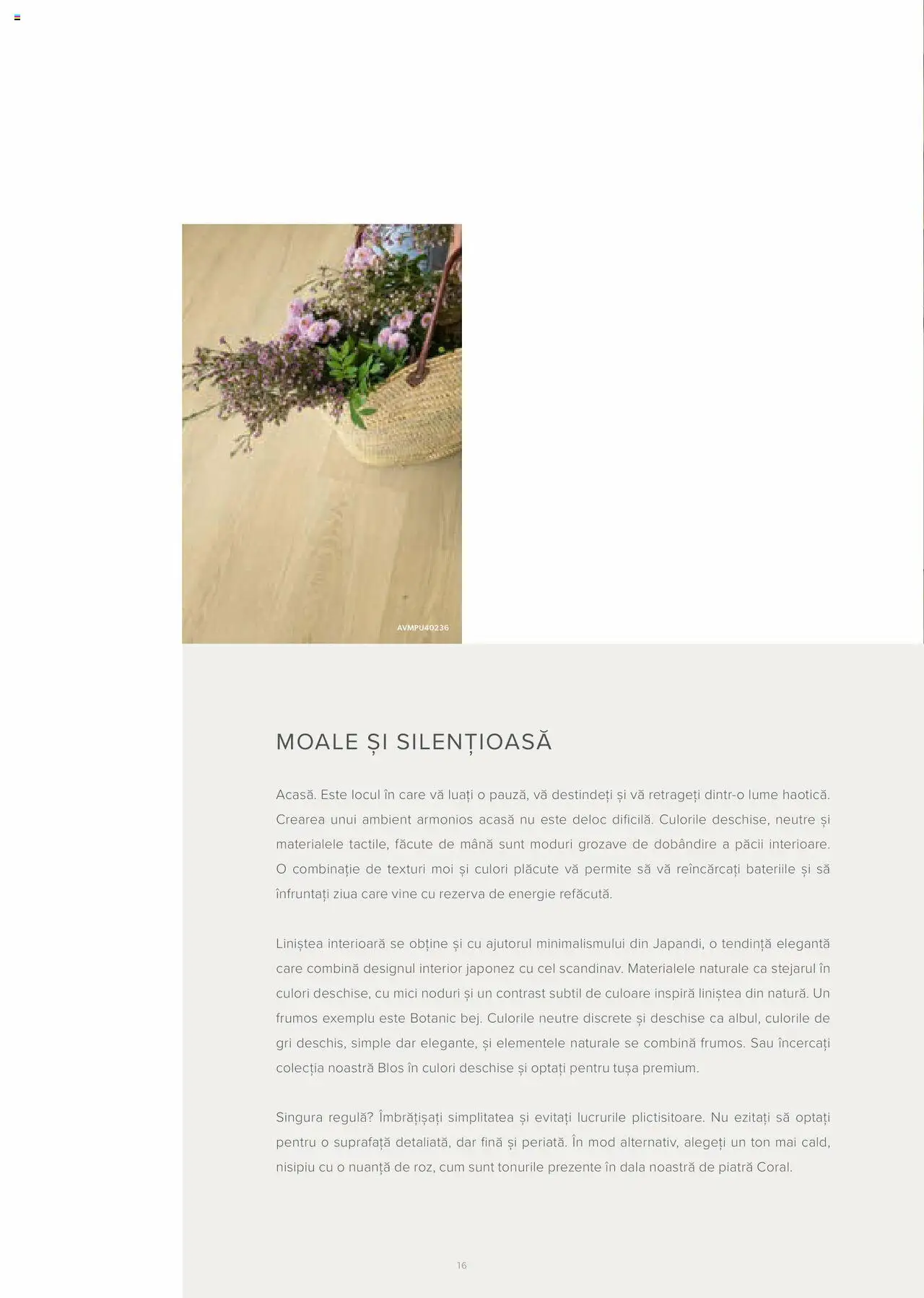 Noul catalog Proges – valabil de la 24.08.2023 | Pagină: 17 | Produse: Cărucior de transport, Lampă De Birou, Presă pentru usturoi, Apă cu vitamine