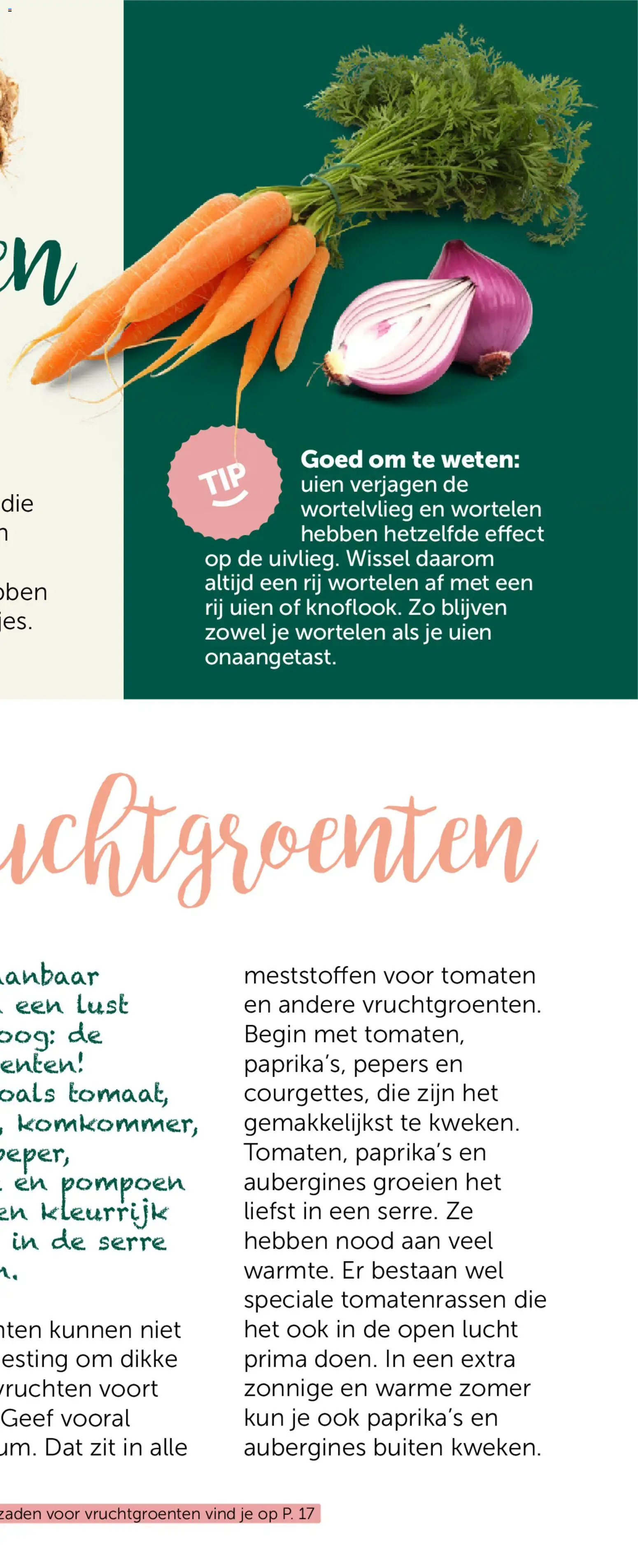 {H1} | Pagina: 11 | Producten: Tomaten, Pompoen, Pepers, Wortelen