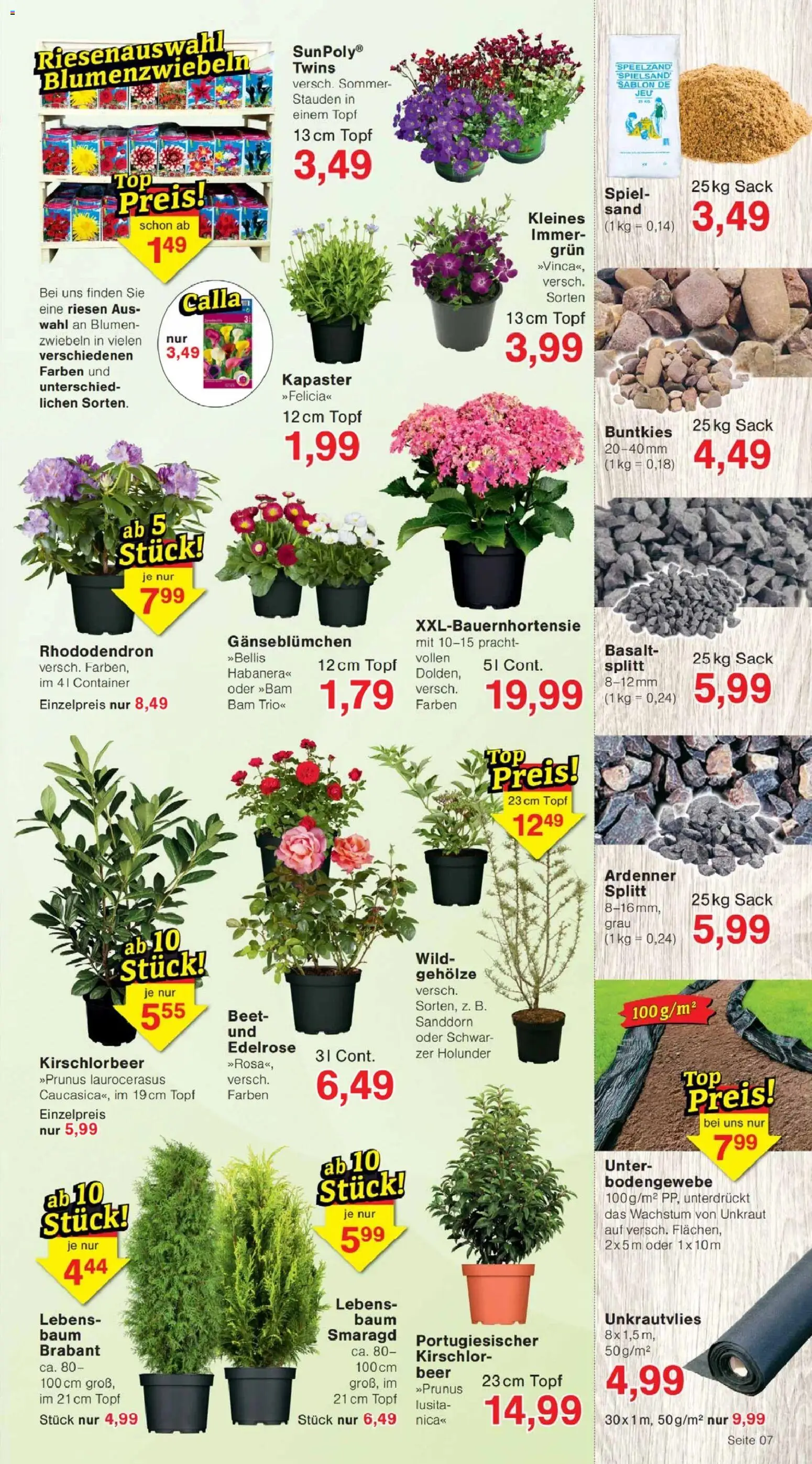 Jawoll Prospekt – gültig ab 23.03.2026 | Seite: 11 | Produkte: Spiel, Blumen, Zwiebeln