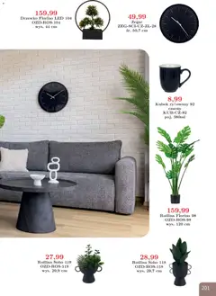 Pogląd oferty "Bodzio Katalog" - ważna od 01.01.2026 | Strona: 201 | Produkty: Zegar