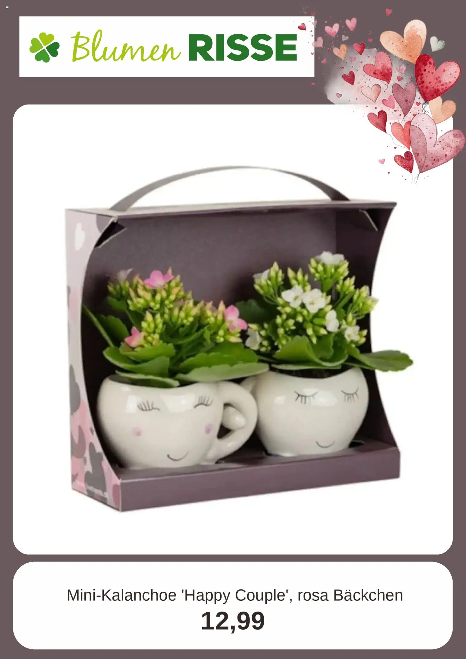 Blumen Risse Prospekt 	 – gültig ab 04.02.2026 | Seite: 4
