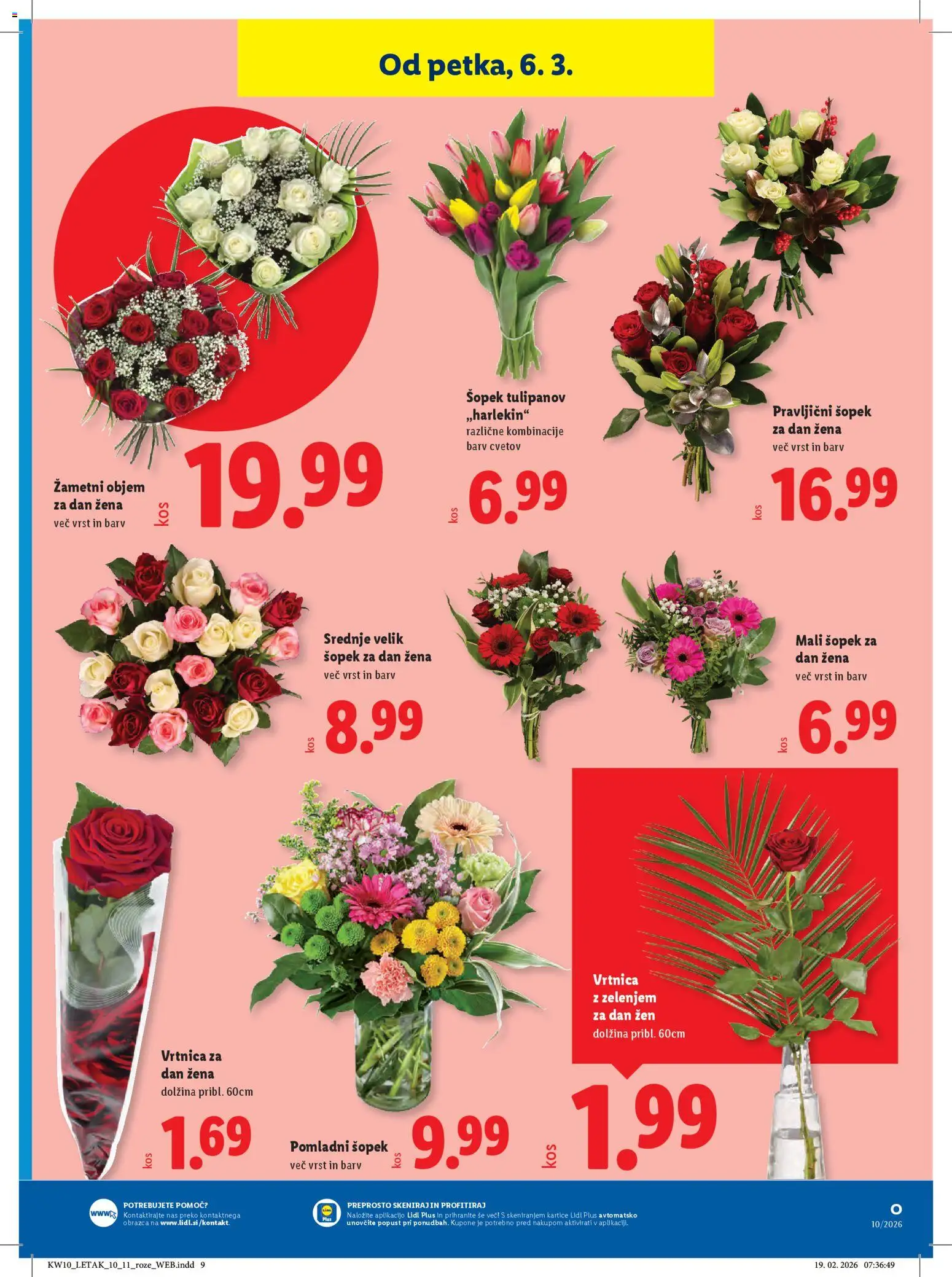 Novi Lidl katalog ponudbe – veljaven od 05.03.2026 | Stran: 37 | Izdelki: Šopek