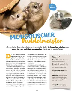 Fressnapf Friends Magazin – gültig ab 01.09.2025 | Seite: 38 | Produkte: Gewicht, Maus