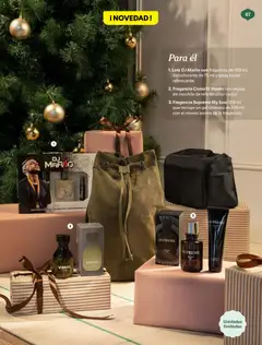 Vista previa Catálogo Mercadona - Navidad 2025 válido desde el 02.12.2025 | Página: 67