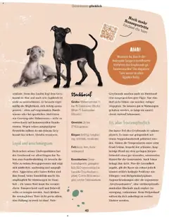 Fressnapf Flugblatt ab 01.09.2025 gültig | Seite: 43