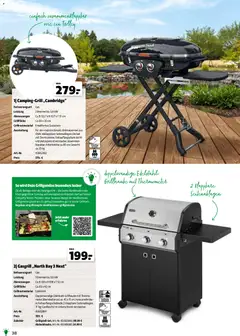 Hagebau Gartenjahr ab 13.03.2026 gültig | Seite: 38