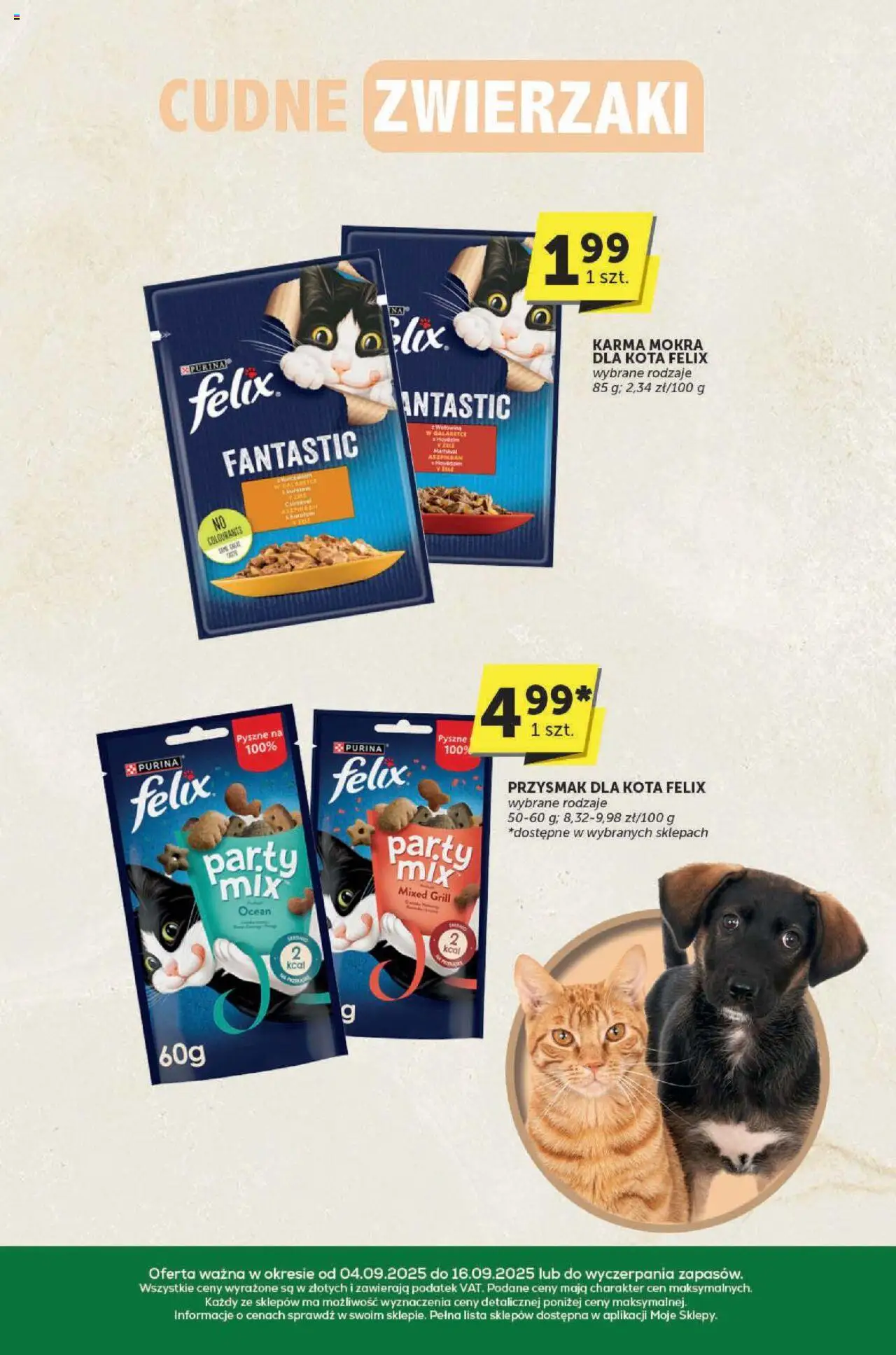 Euro Sklep Gazetka - Katalog od 04.09.2025 | Strona: 31 | Produkty: Karma mokra dla kota, Grill, Wołowina