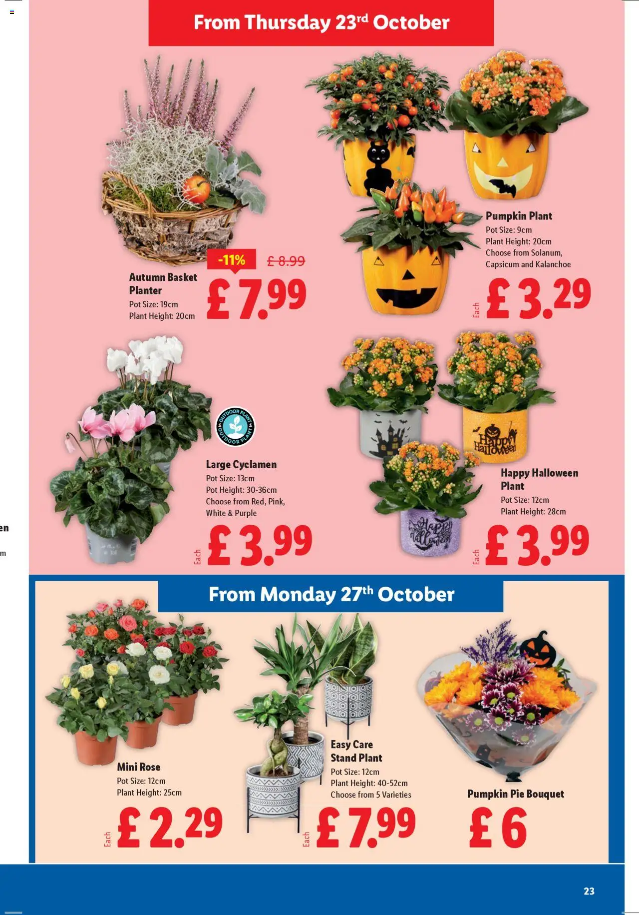 {H1} | Page: 23 | Products: Pot, Planter, Plant pot, Pie