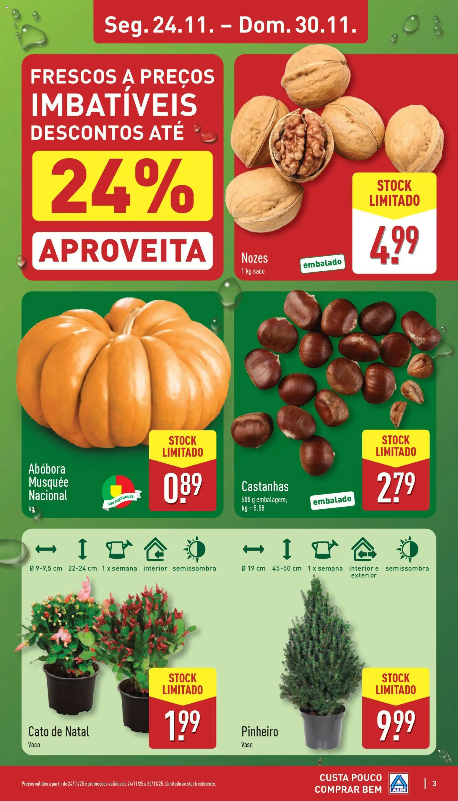 Aldi folheto │ válido de 24.11.2025 | Página: 3 | Produtos: Castanhas, Vaso, Abóbora, Nozes