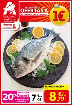 Vista previa Alcampo - SM Nacional  válido desde el 29.01.2026