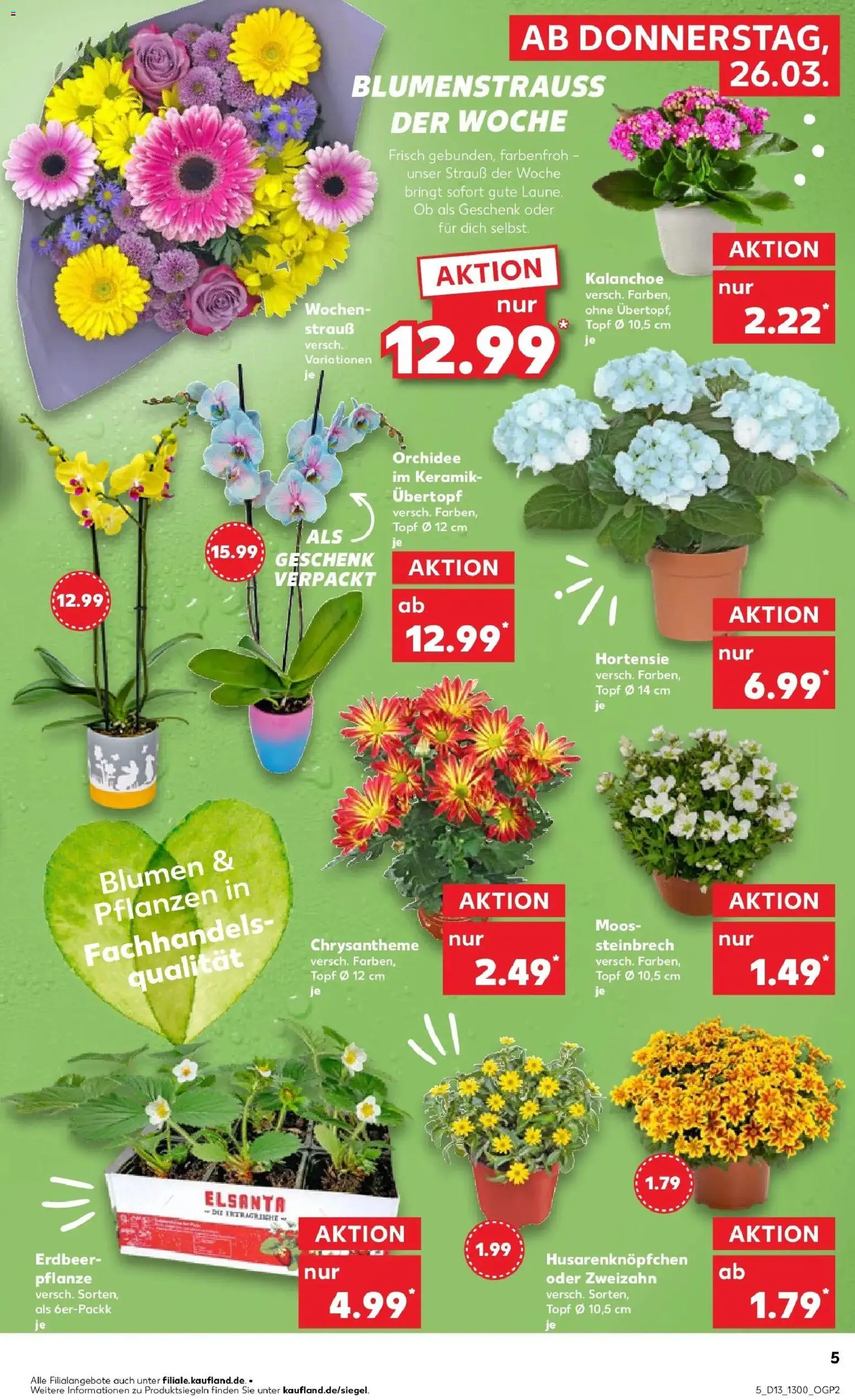 Kaufland Prospekt Dortmund	 – gültig ab 26.03.2026 | Seite: 5 | Produkte: Hortensie, Orchidee, Blumen