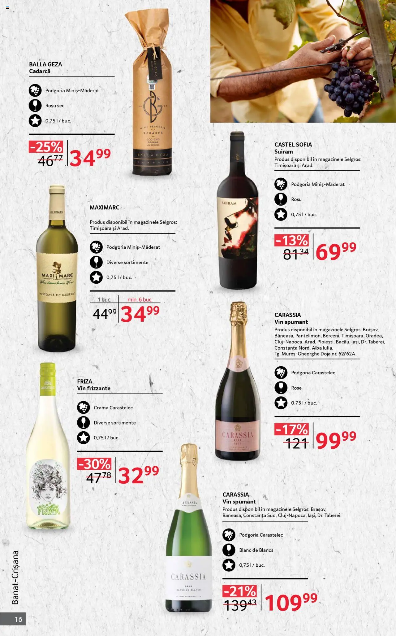 Noul catalog Selgros – valabil de la 01.10.2025 | Pagină: 16 | Produse: Vin, Toplu Oyuncaklar