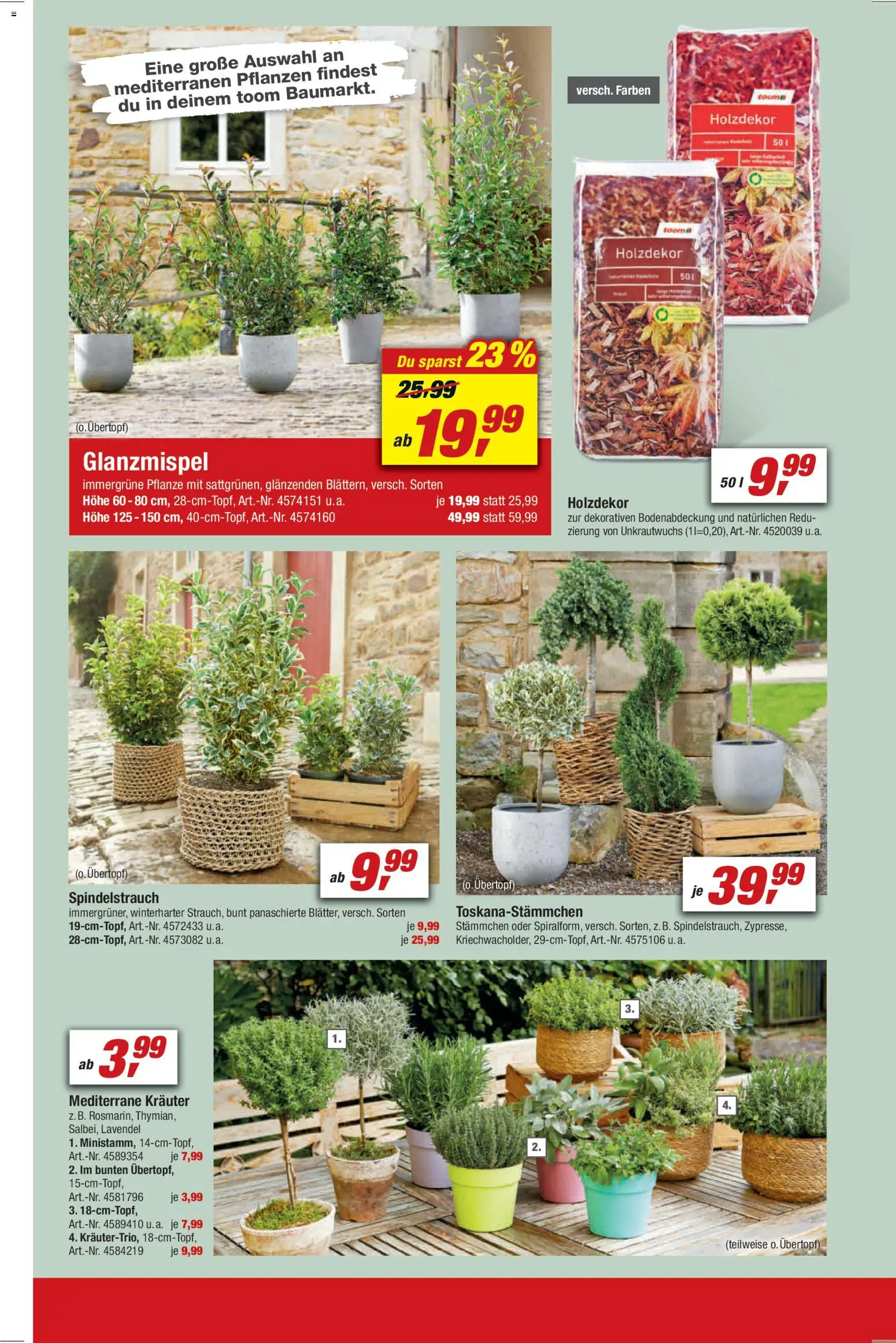 Toom Baumarkt Prospekt 	 – gültig ab 03.04.2026 | Seite: 6 | Produkte: Lavendel