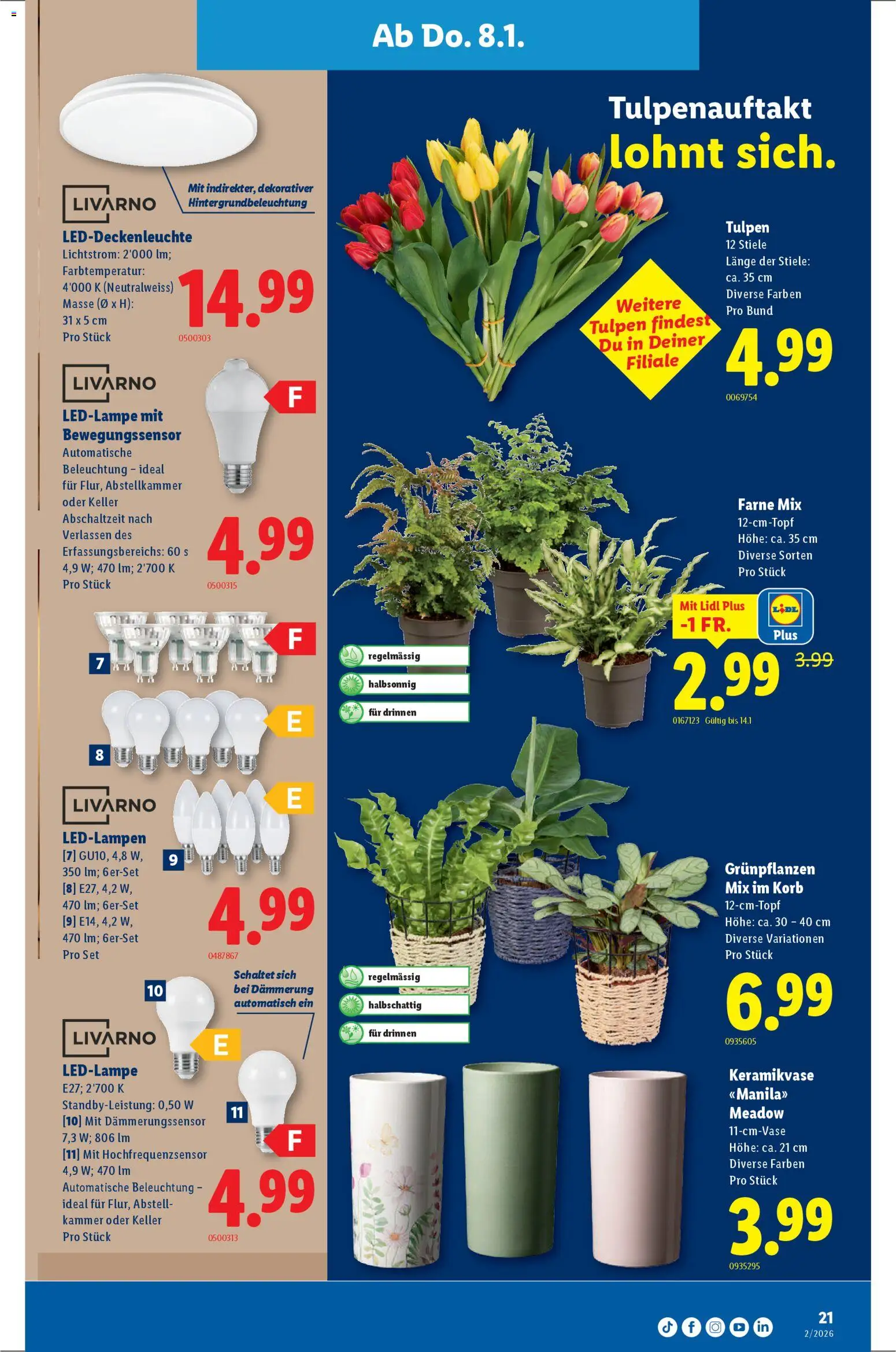 Lidl Aktionen – gültig ab 08.01.2026 | Seite: 21 | Produkte: Korb