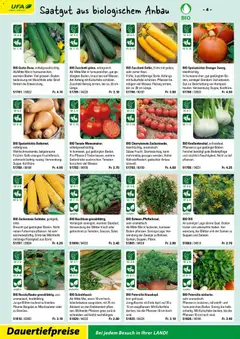 Landi ( Deaktivovane pre Letakomat )  Aktionen ab 07.01.2026 gültig | Seite: 6