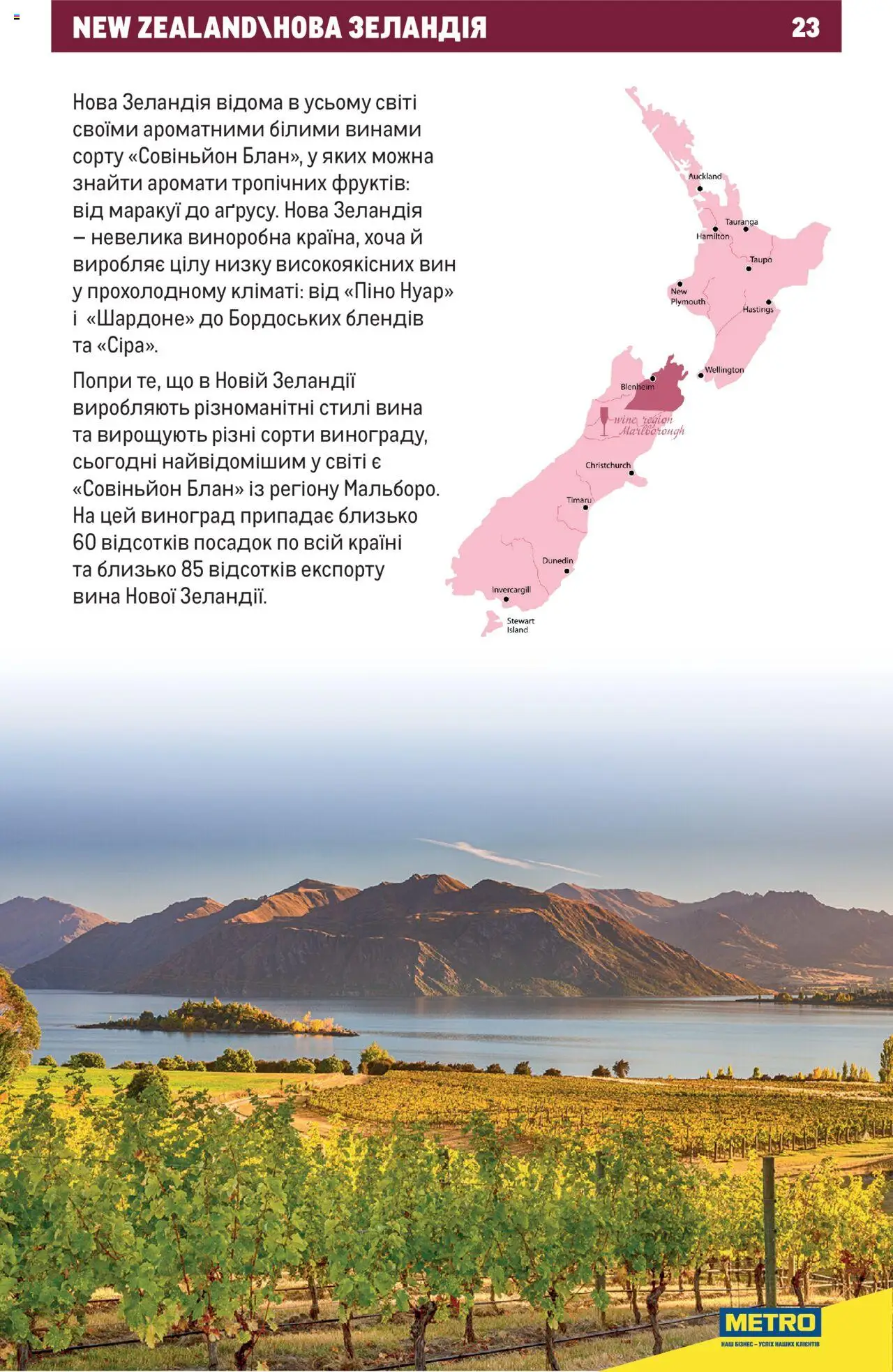 Metro Kаталог - дійснийкції з 01.07.2025 | Сторінка: 23 | Товари: Виноград