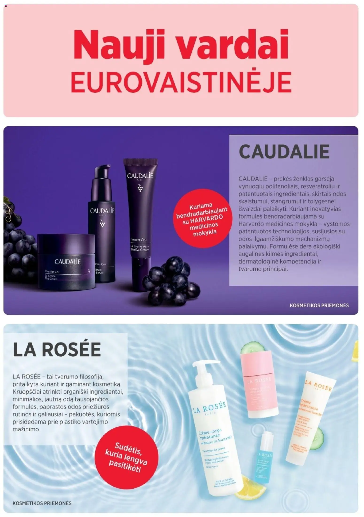 EUROVAISTINĖ akcijos nuo 31.03.2026 | Puslapis: 27
