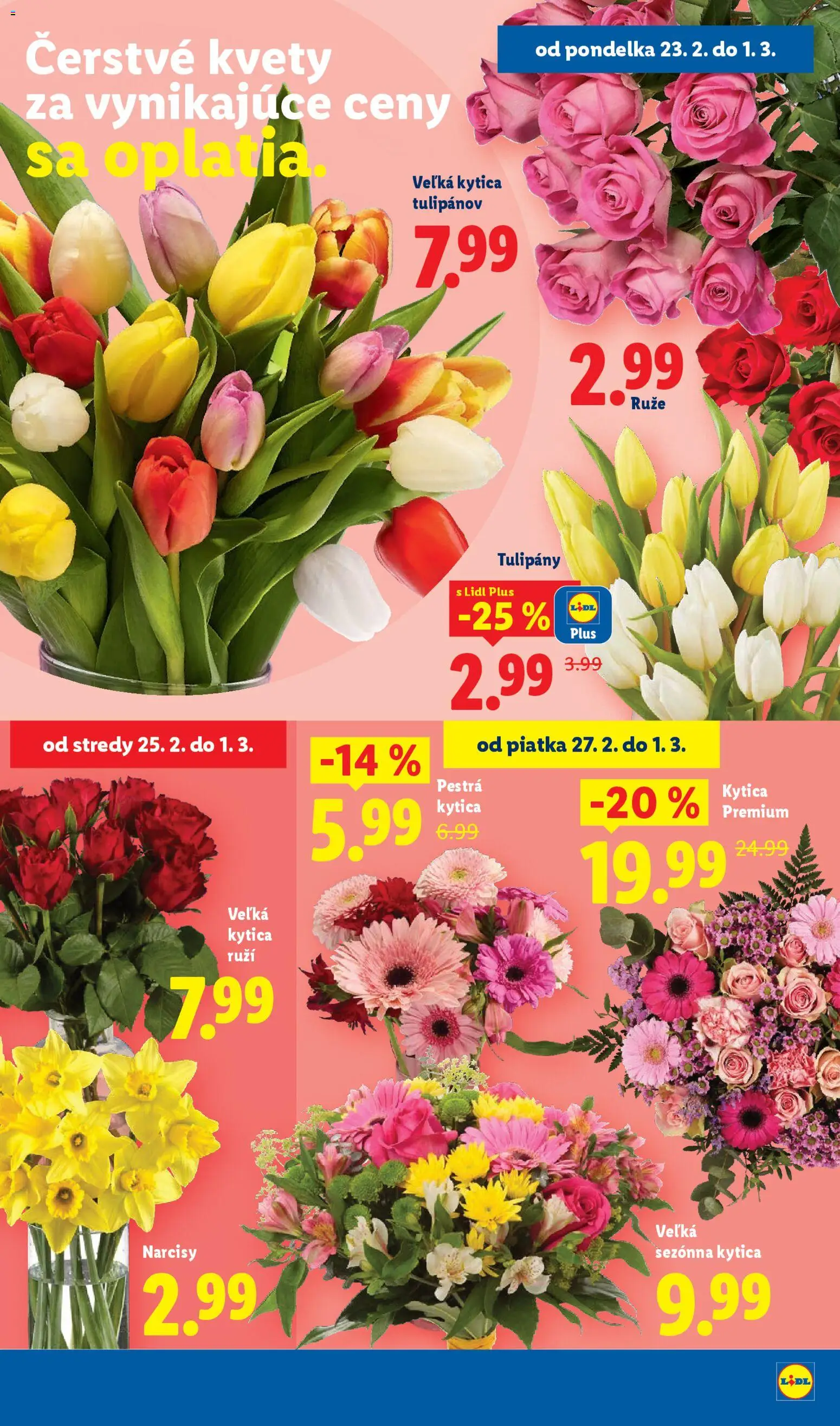 Nové Lidl akcie – leták je platný od 23.02.2026 | Strana: 40 | Produkty: Kvety, Tulipány, Ruže