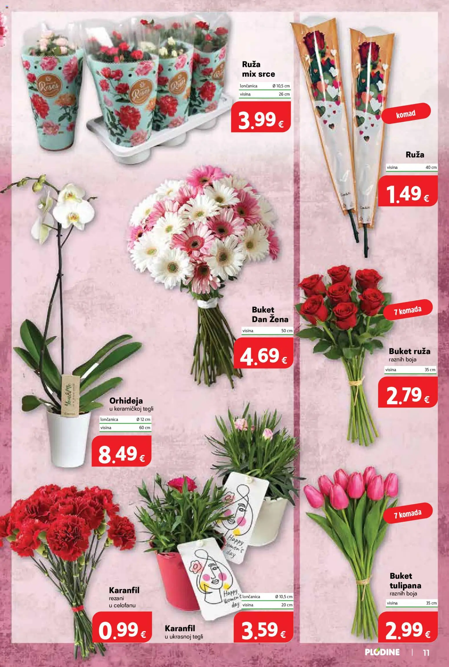 Plodine katalog | vrijedi od 04.03.2026 | Stranica: 11 | Proizvodi: Orhideja