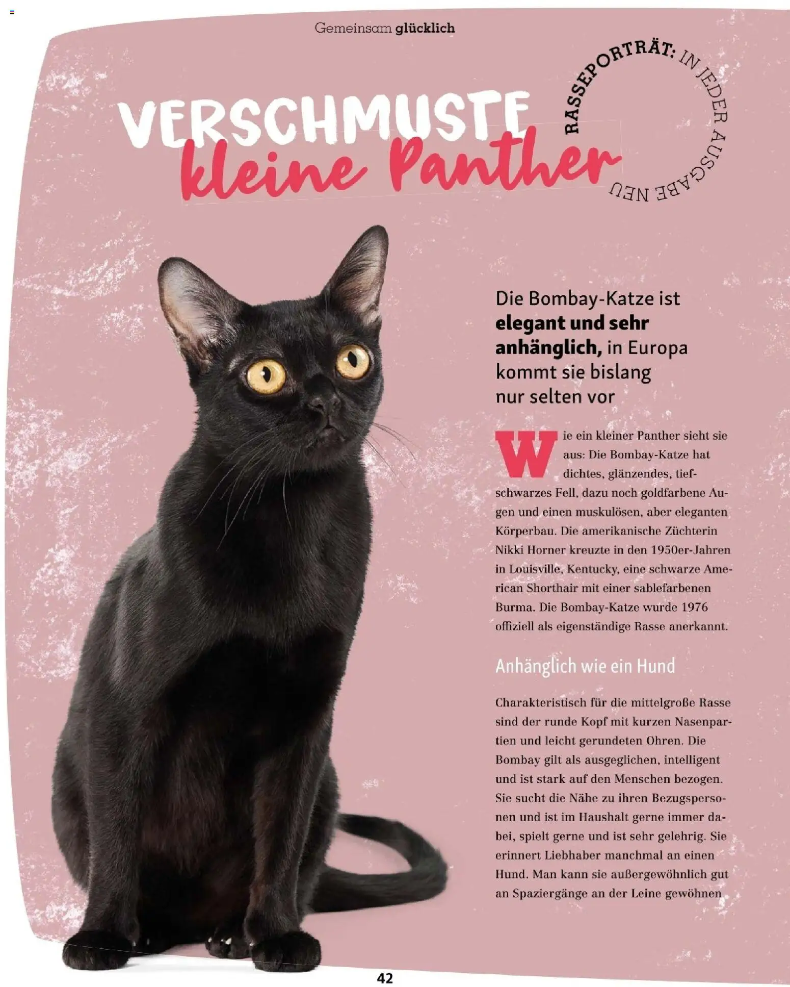 Fressnapf Friends 06/25 gültig ab 01.11.2025 | Seite: 42