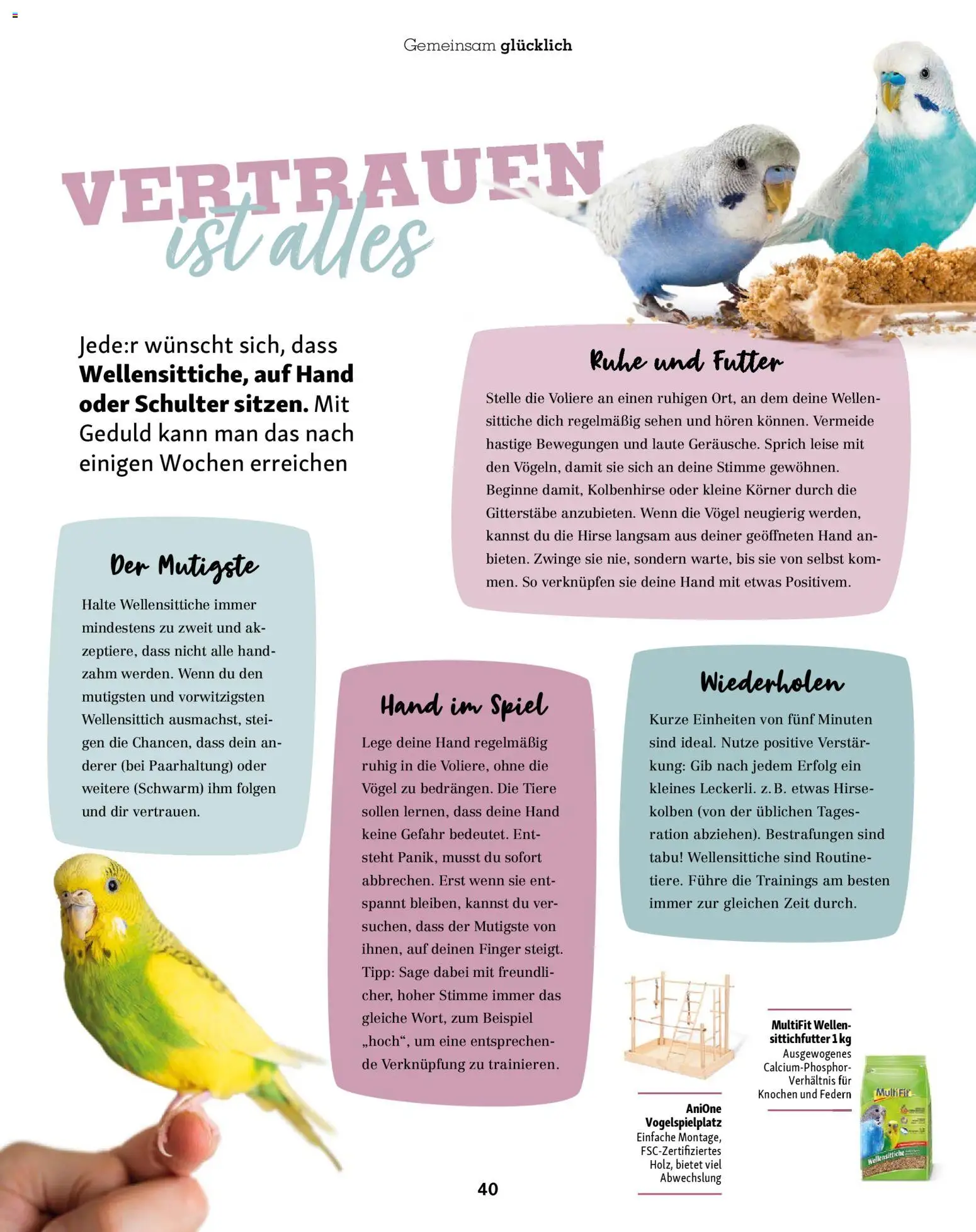 Fressnapf Friends Magazin – gültig ab 01.01.2026 | Seite: 40 | Produkte: Spiel