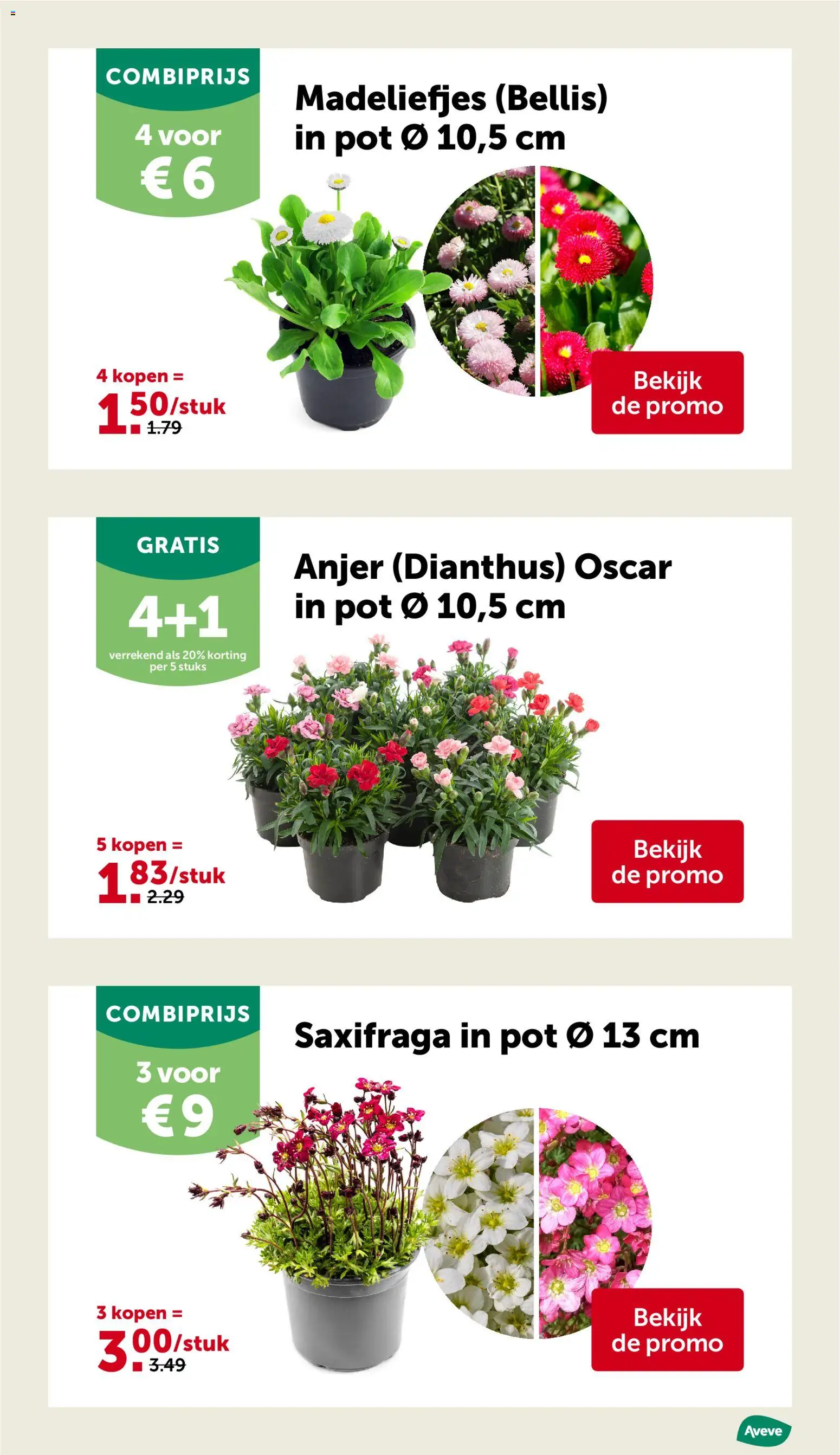 {H1} | Pagina: 11 | Producten: Pot