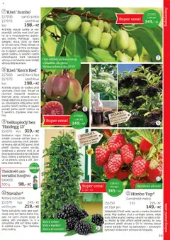 Starkl katalog podzim 2025 od 01.08.2025 | Strana: 19 | Produkty: Kiwi, Vitamíny, Hnojivo, Hrozny