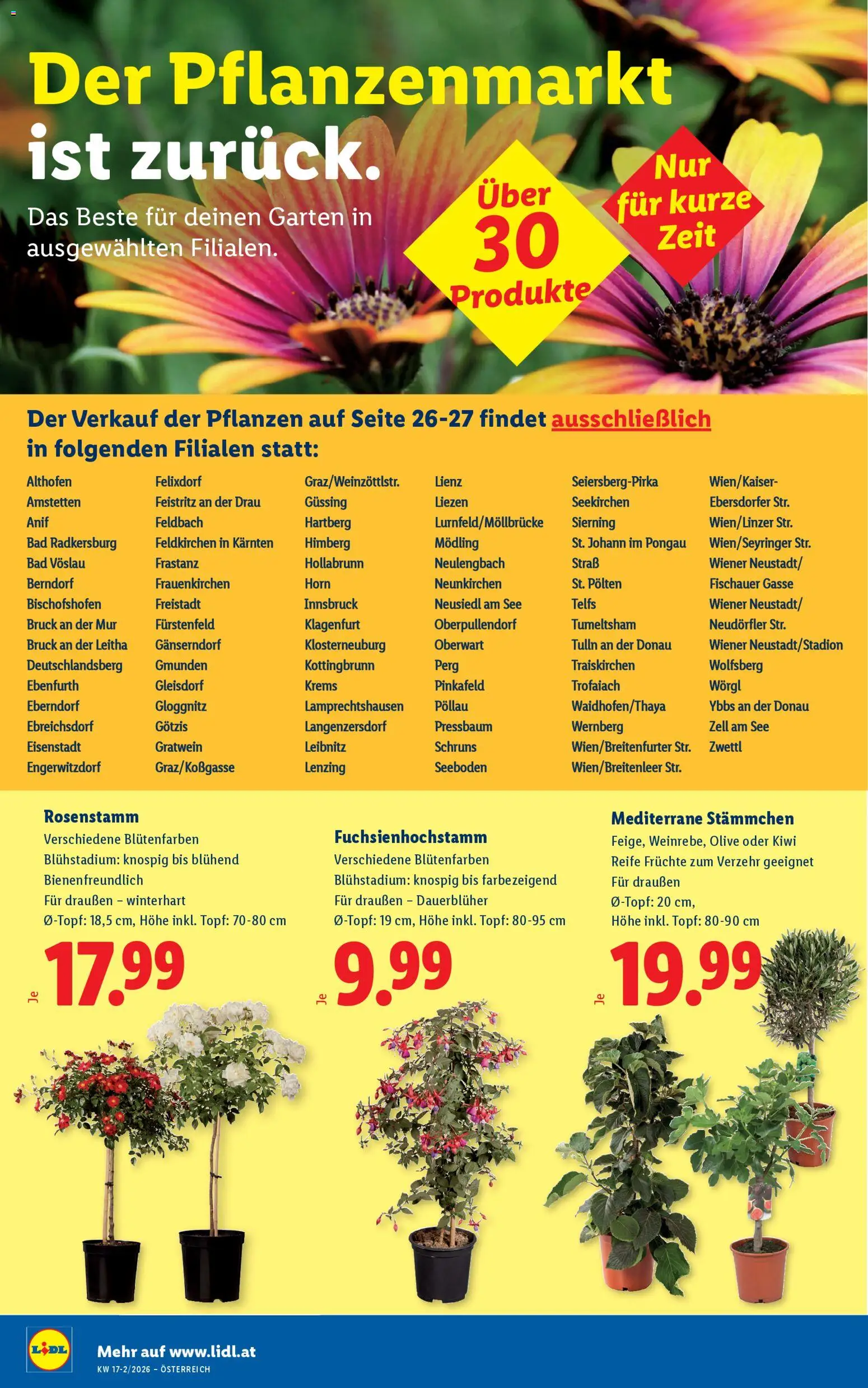 Lidl - Flugblatt gültig ab 23.04.2026 | Seite: 28 | Produkte: Kiwi, Bad