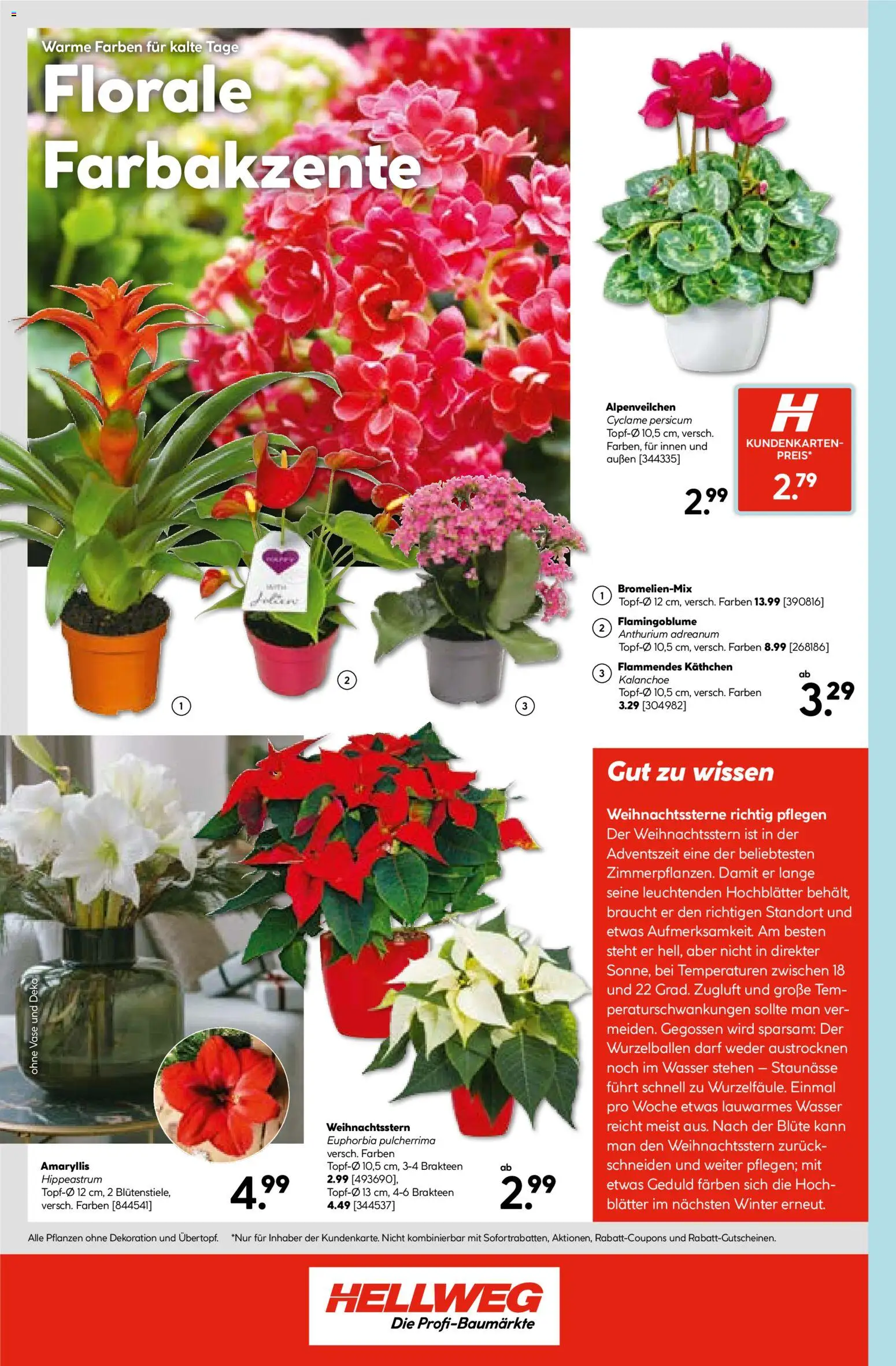 Hellweg Prospekt – gültig ab 27.10.2025 | Seite: 24 | Produkte: Vase, Wasser