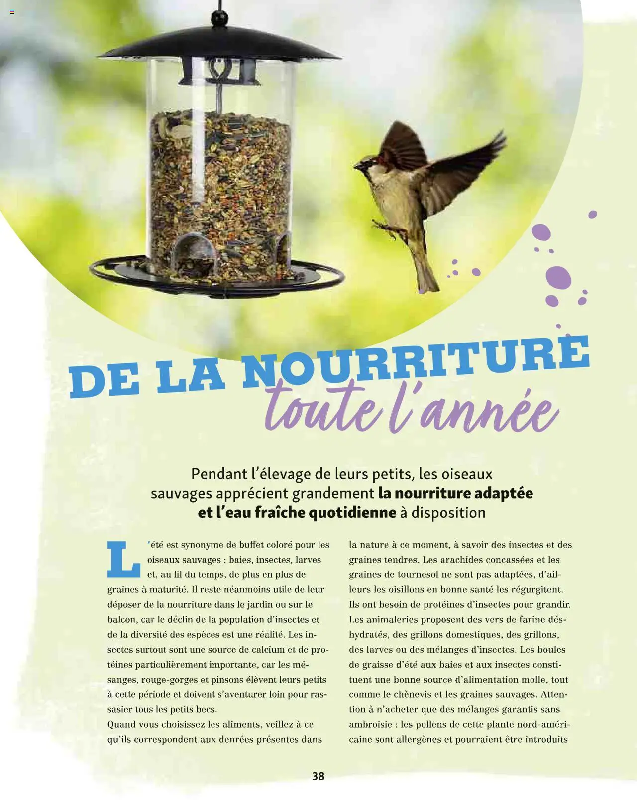  | Page: 38 | Produits: Farine, Buffet