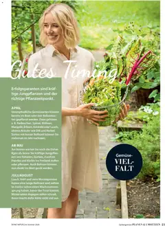 Dehner Prospekt 	 ab 17.04.2026 gültig | Seite: 51 | Produkte: Kohlrabi, Gemüse, Paprika, Kürbis