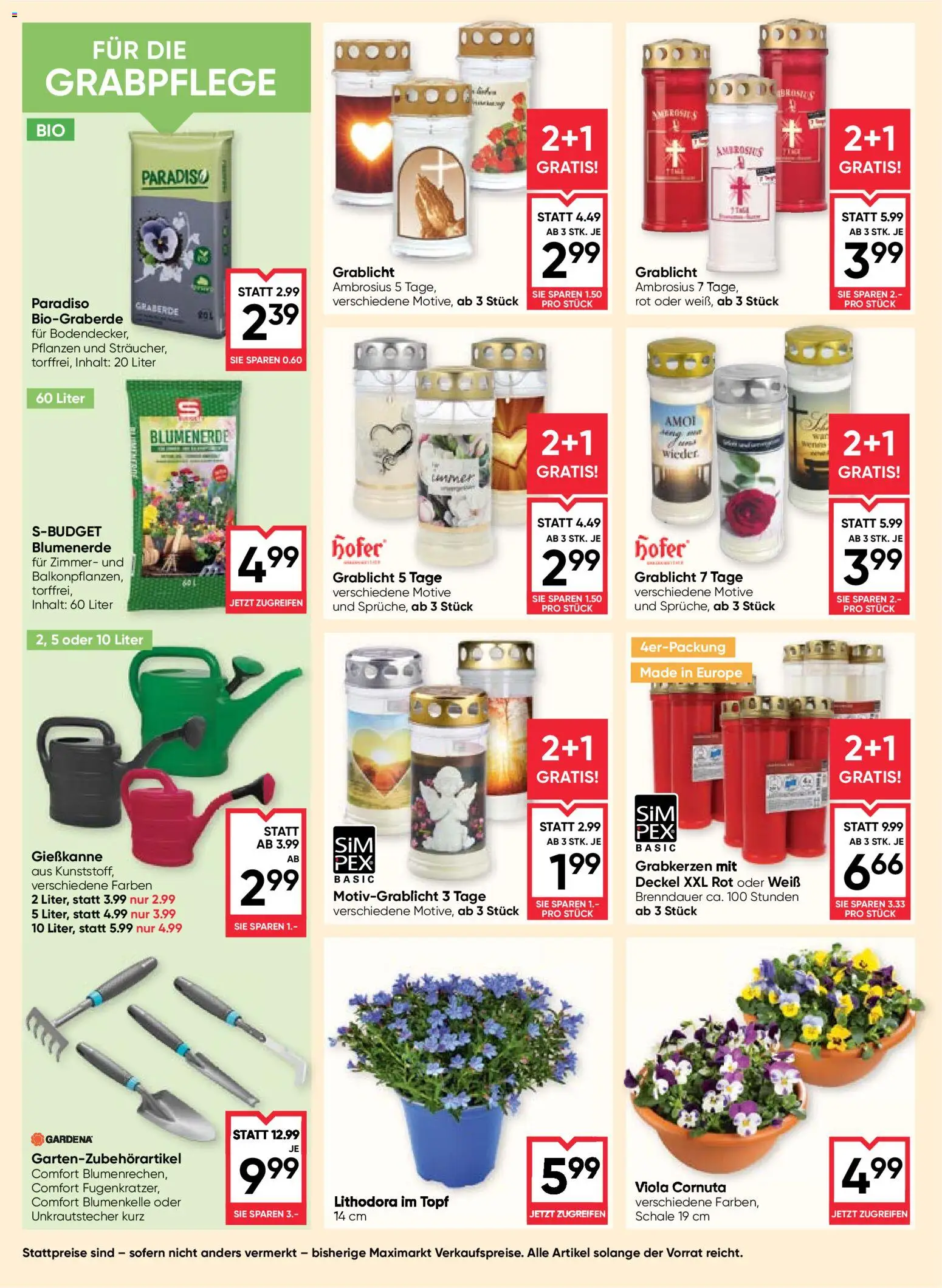 Maximarkt Flugblatt gültig ab 12.03.2026 | Seite: 20 | Produkte: Marhalábszár