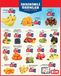 26.12.2025 tarihinden itibaren geçerli olan BİM kataloğu önizlemesi