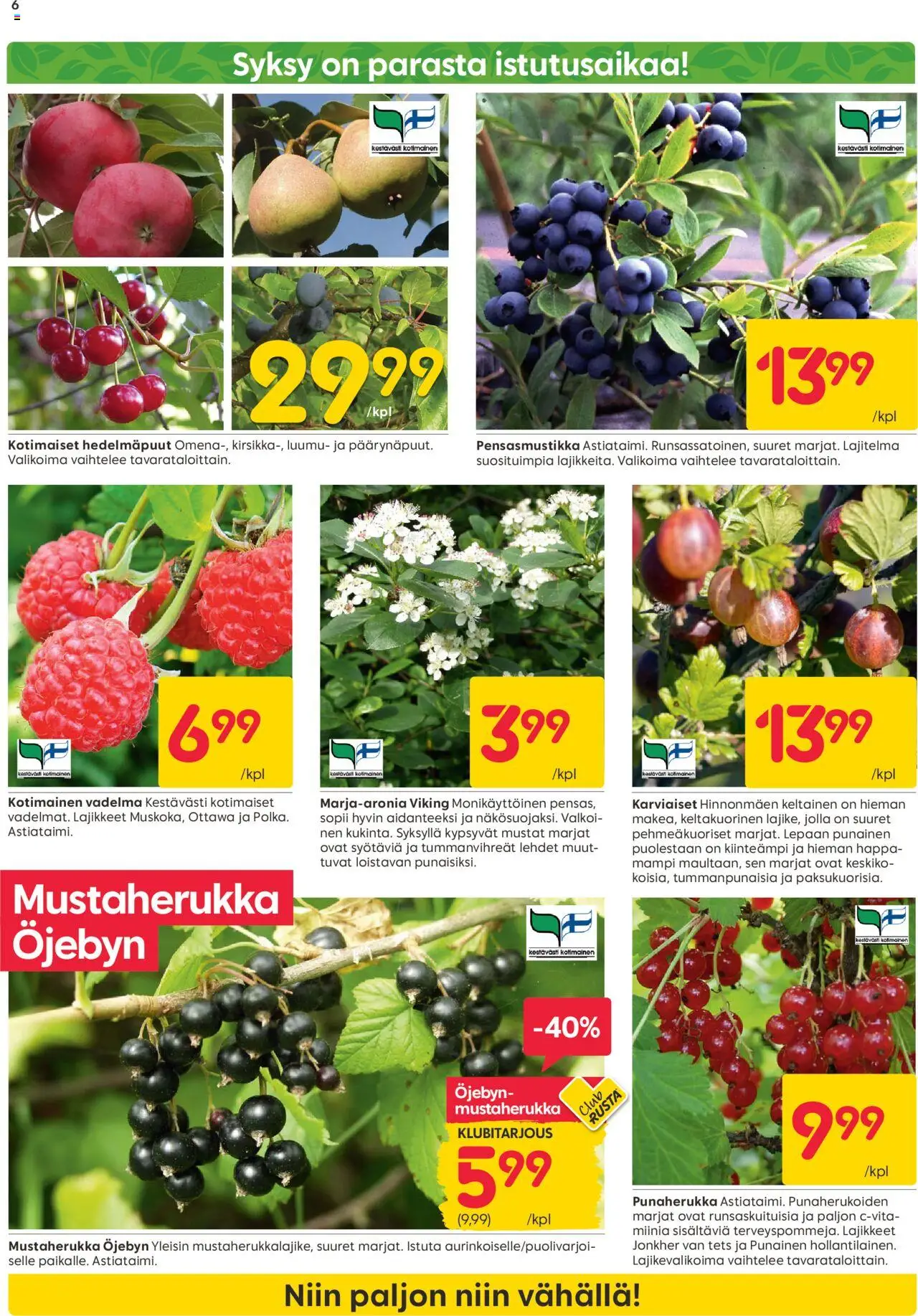  | Sivu: 6 | Tuotteet: Vadelma, Luumu, Hedelmäpuut