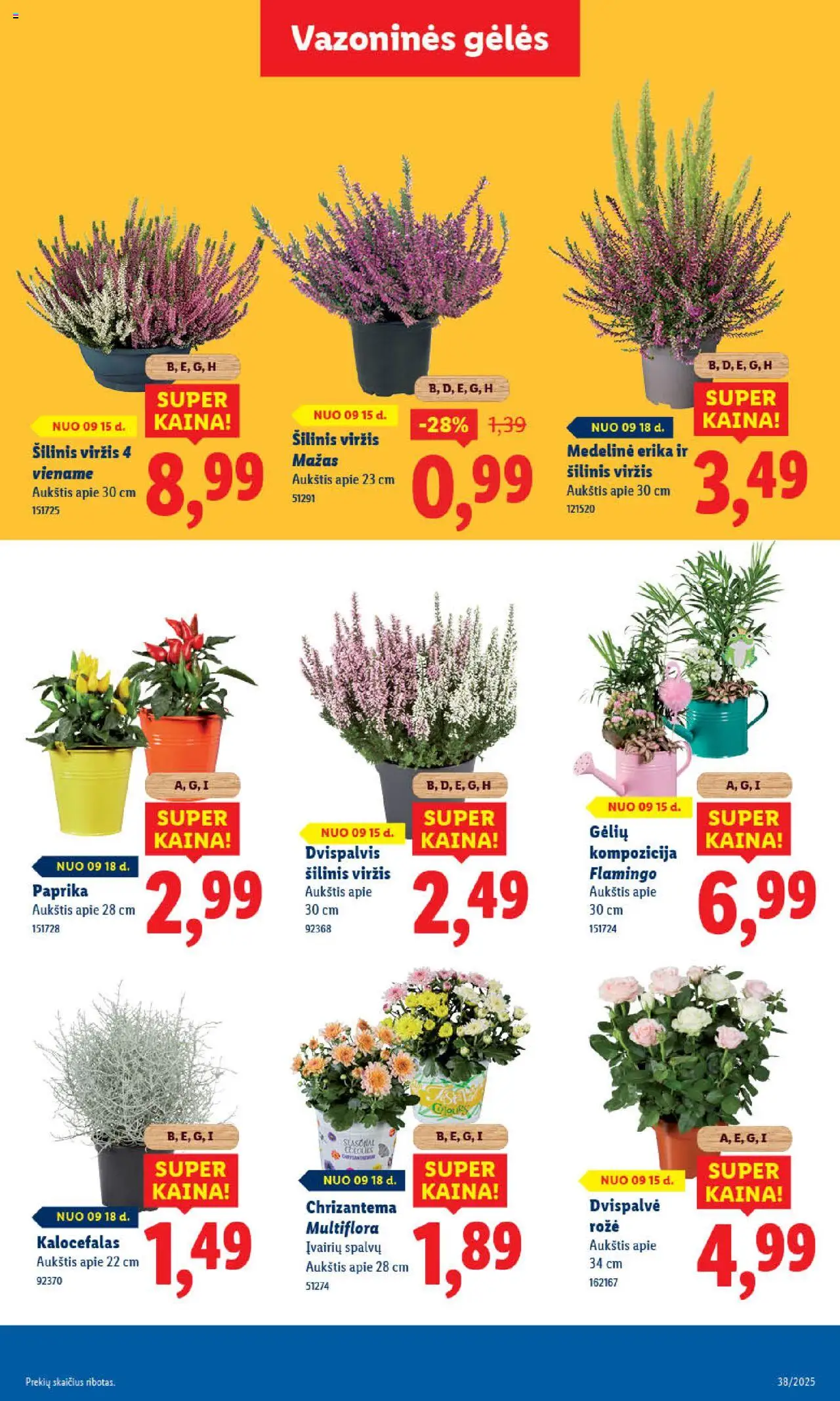 LIDL akcijos nuo 15.09.2025 | Puslapis: 43 | Prekių: Paprika