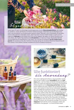 Famila Nordwest myTime September 2025 ab 01.09.2025 gültig | Seite: 65 | Produkte: Öl, Lampe, Duft, Wasser